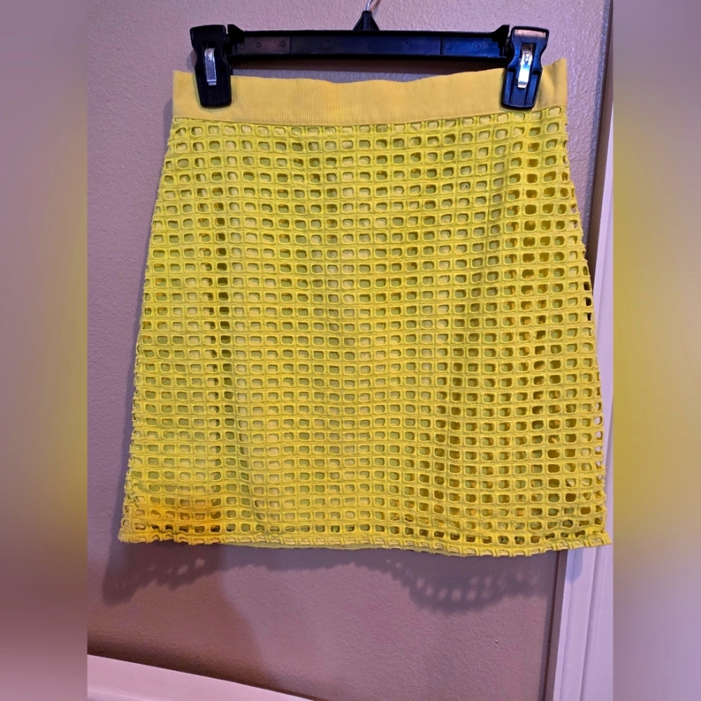 Ann Taylor Loft Petites Party Skirt